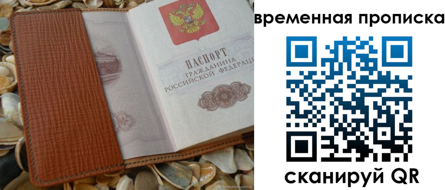 прописка для работы в Губкинском